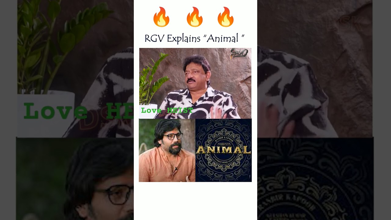 Rgv about ANIMAL movie |Animal watsappstatus| Ramuism | Ramgopalvarma |Trending Status | Virul |
