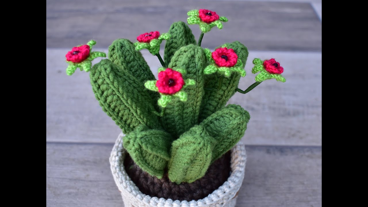 LARGE CROCHET CACTUS WITH FLOWERS - YouTube