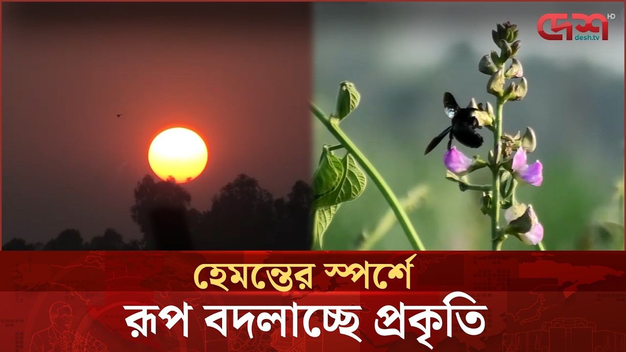 লালমনিরহাটে বইছে শীতের আগমনীবার্তা