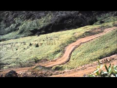 素晴らしいダート区間があるって？  長野と群馬の県境  毛無峠  小串鉱山  DT125R