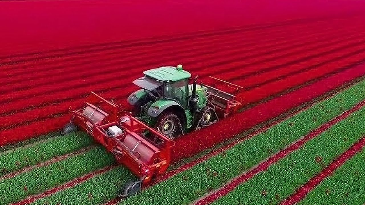 Modern Agriculture Machines That Have High Performance