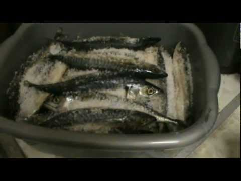Wideo: Jak Posolić Rybę Makreli?