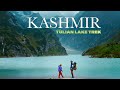 Swarg ka rasta  tulian lake trek  pahalgam kashmir  traveling mondays