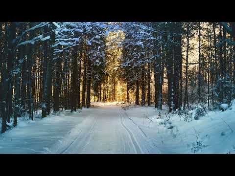 DELICATE WINTER SOLSTICE AMBIENCE 1 HOUR 