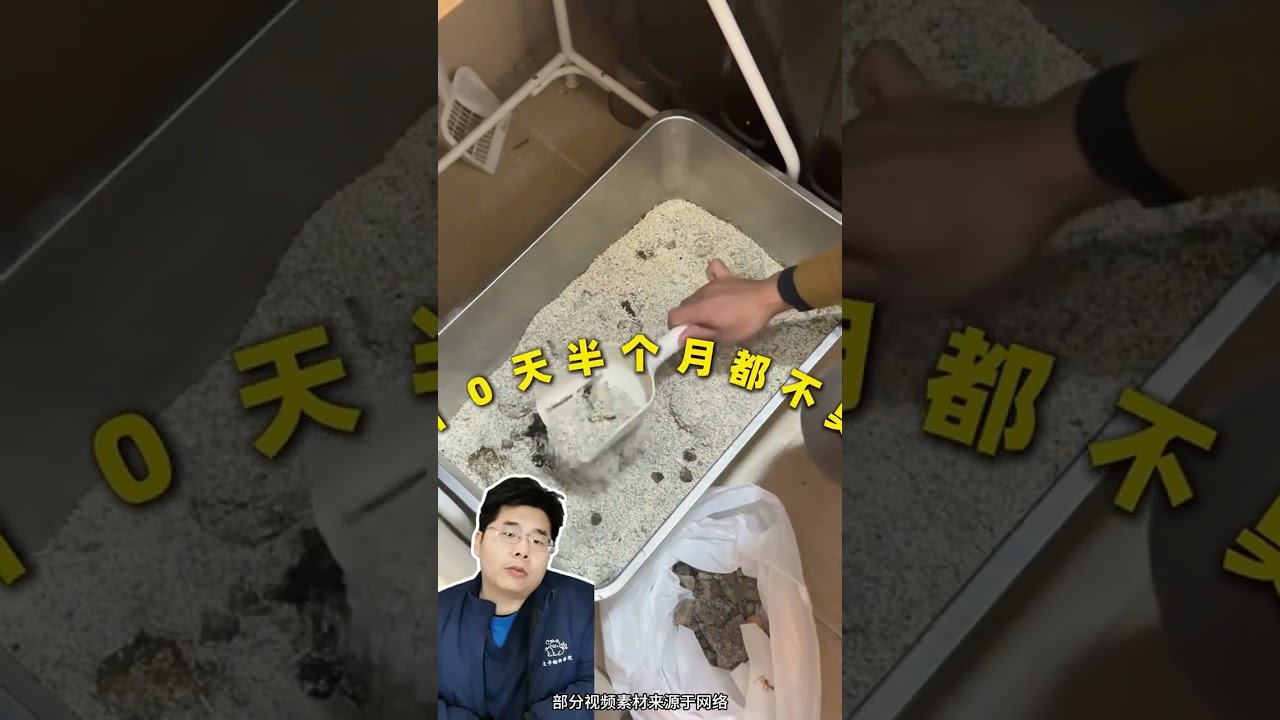 Three things that pet hospitals hate most when new cat owners do