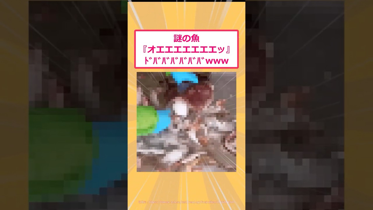 【2ch面白いスレ】謎の魚『オエエエエエエエッ』ドババババババwww #2ch #2ch面白いスレ
