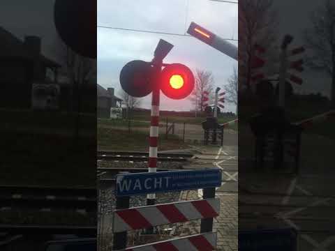 Spoorwegovergang Beek-Elsloo // Dutch Railroad Crossing