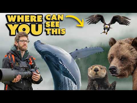 The Wildlife Safari Nobody Talks About