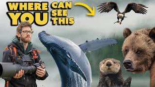 The Wildlife Safari Nobody Talks About