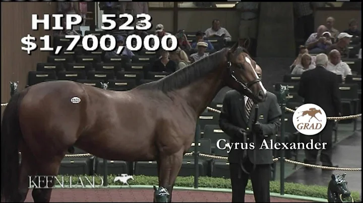 Cyrus Alexander as a Keeneland September Yearling