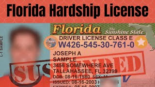 Florida Hardship License. You don't need a lawyer!!