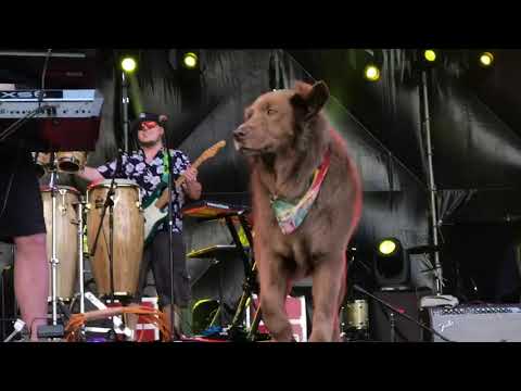 Albert Pierre “Ti Boule” : une figure controversée de l’histoire politique haïtienne