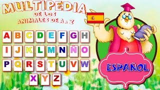 Alfabeto En Español Con Animales Reales | Spanish Alphabet