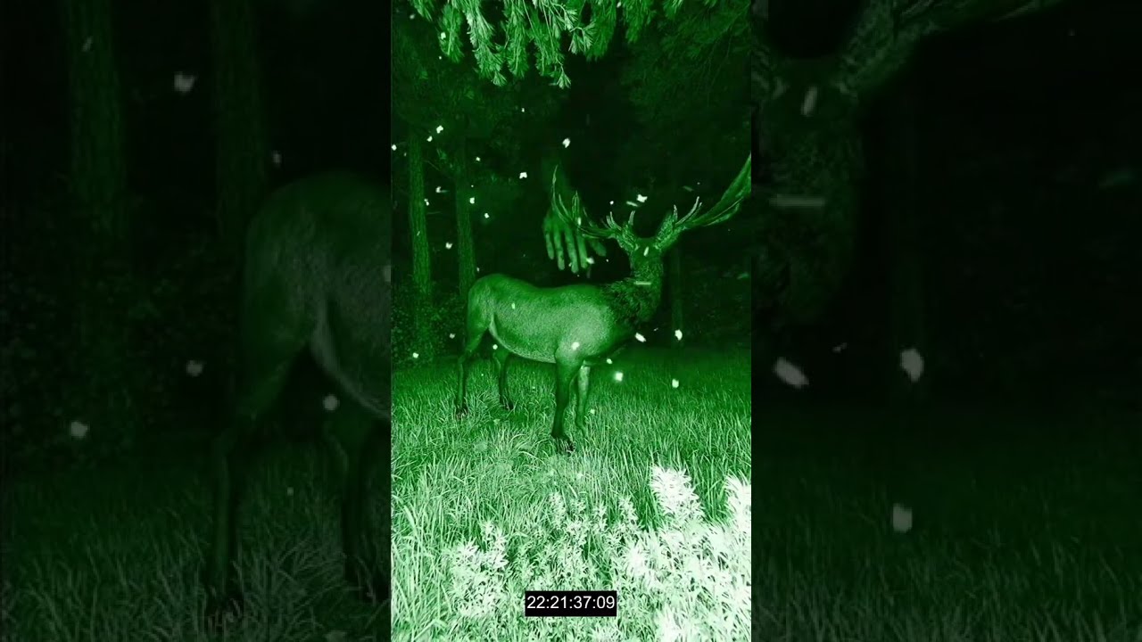 FULL STOP PUNCTUATION. 