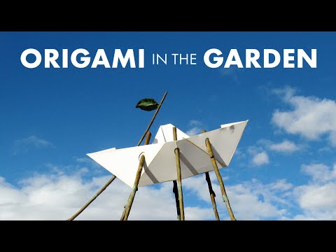 Origami in the Garden TRAILER | 2023