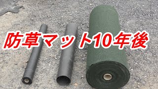 防草シート・防草マットのその後