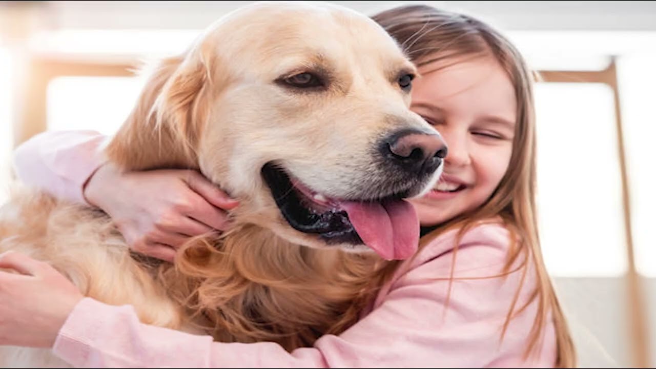 10 Things Only Golden Retriever Owners Understand Unlisted
