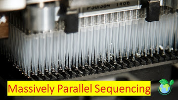 Massively Parallel Sequencing Explained in 7 Minutes