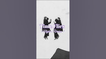 Time Flies (Taylor