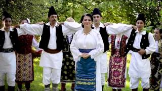 Bianca Sarb - Banatenii mei banateni falosi- 0768508601