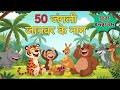 50 जंगली जानवरों के नाम | Wild Animals Names In Hindi and English