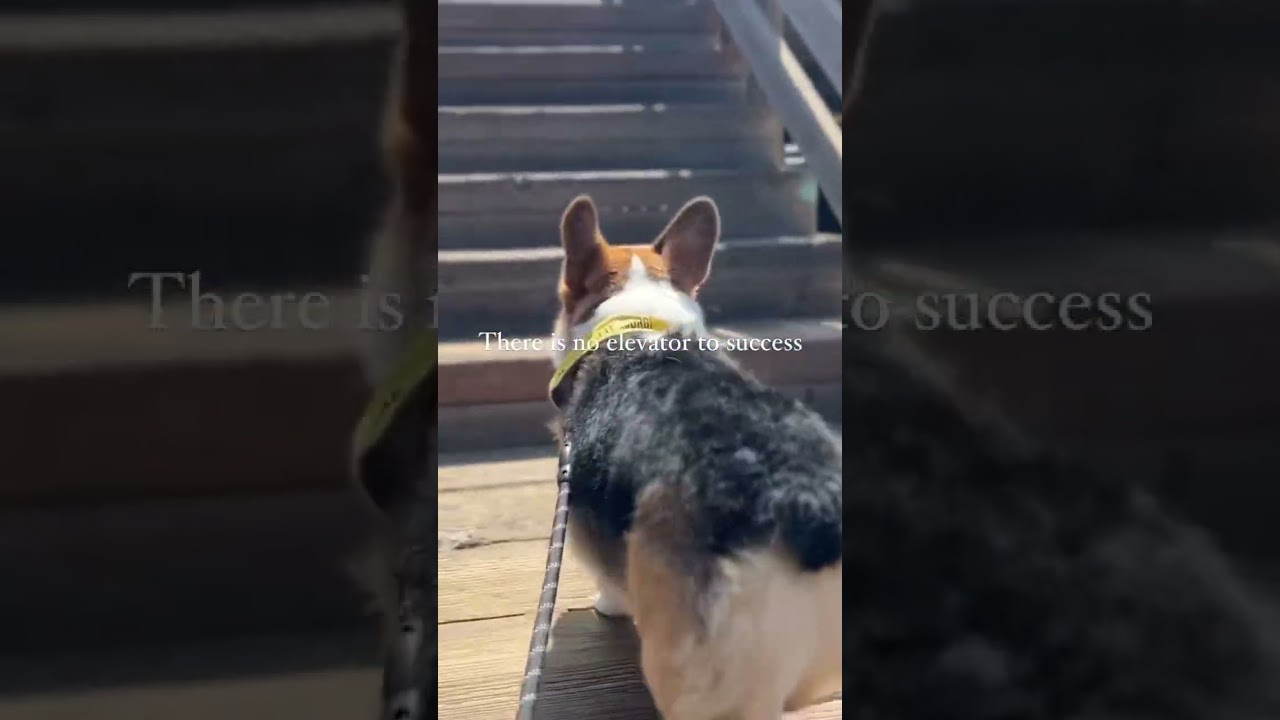 One Step at a Time 👍 