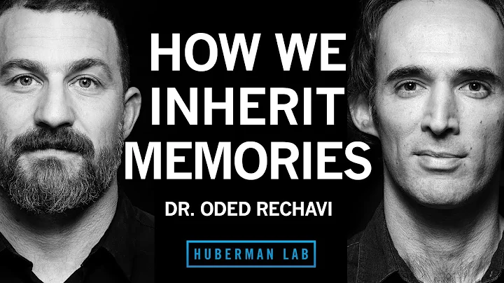 Dr. Oded Rechavi: Genes & the Inheritance of Memories Across Generations | Huberman Lab Podcast - DayDayNews