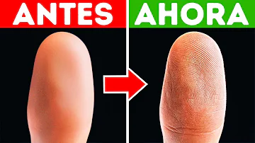 ¿Cambia tu huella dactilar si te cortas un dedo?