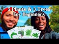 5 Plants &amp; 3 Trees You’ll Want in Your Small Garden Right Now! 🏡🌳