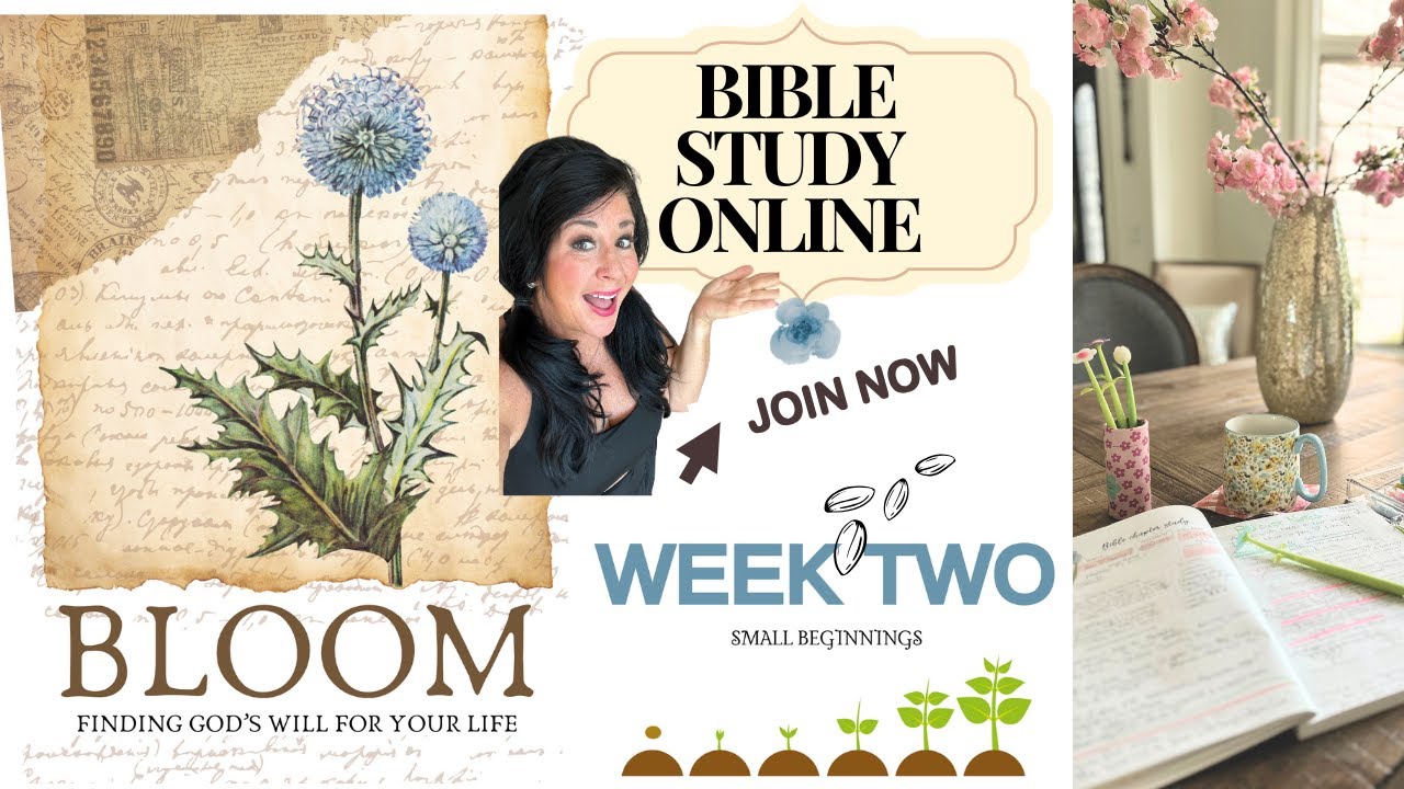 Steps of faith small beginnings join an online daily bible study