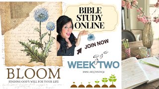 STEPS OF FAITH | SMALL BEGINNINGS | JOIN AN ONLINE DAILY BIBLE STUDY| BLOOM STUDY