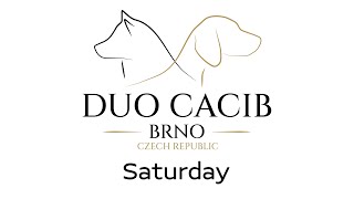 DUO CACIB Saturday