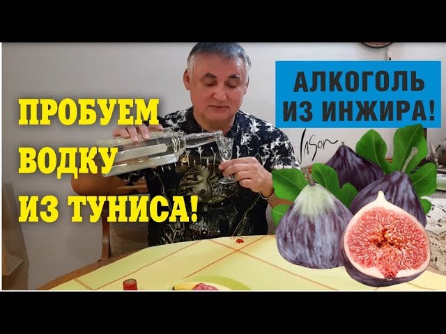 Водка из Туниса. Дистиллят из инжира. Пробуем!