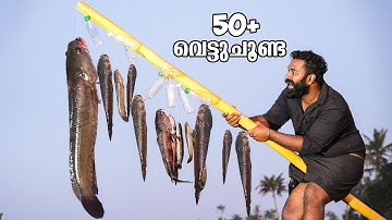 വരാൽ ചാകര 50+ ചൂണ്ടകൾ ഇട്ടപ്പോൾ | Snake Head Fishing | M4 Tech |