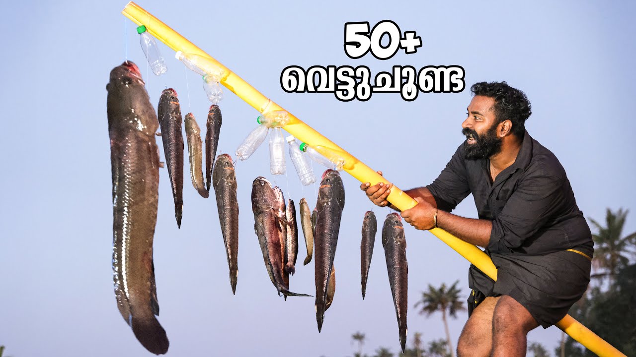 വരാൽ ചാകര 50+ ചൂണ്ടകൾ ഇട്ടപ്പോൾ | Snake Head Fishing | M4 Tech |
