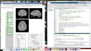 Introduction fMRI Analysis