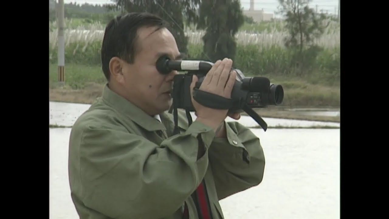 石垣島かけはし栽培