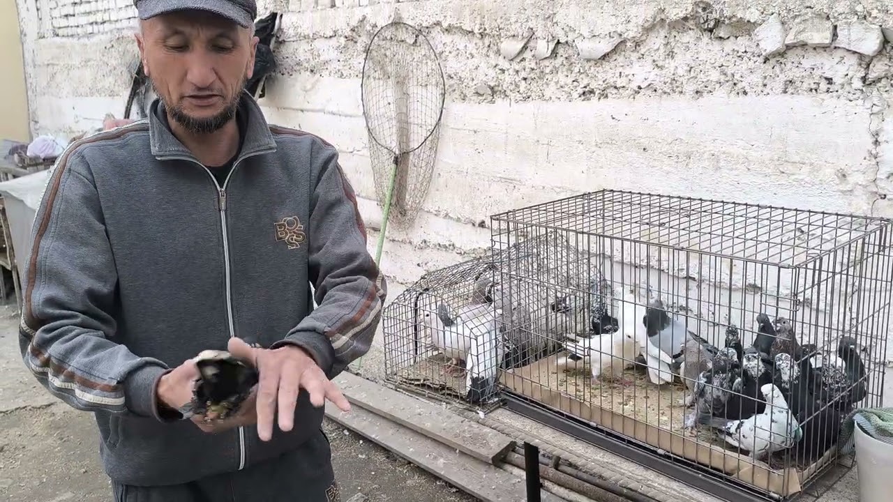 25 февраля 2026 г.