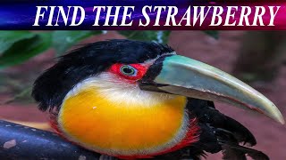 Finding Game | Find The Hidden Object | AR Entertainment | Master Mind Game | Brain Booster screenshot 2