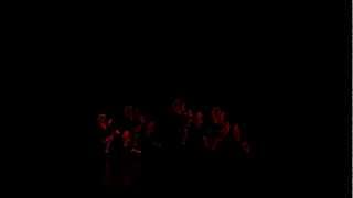 Vospertron Europe Performance January 2013 Trailer