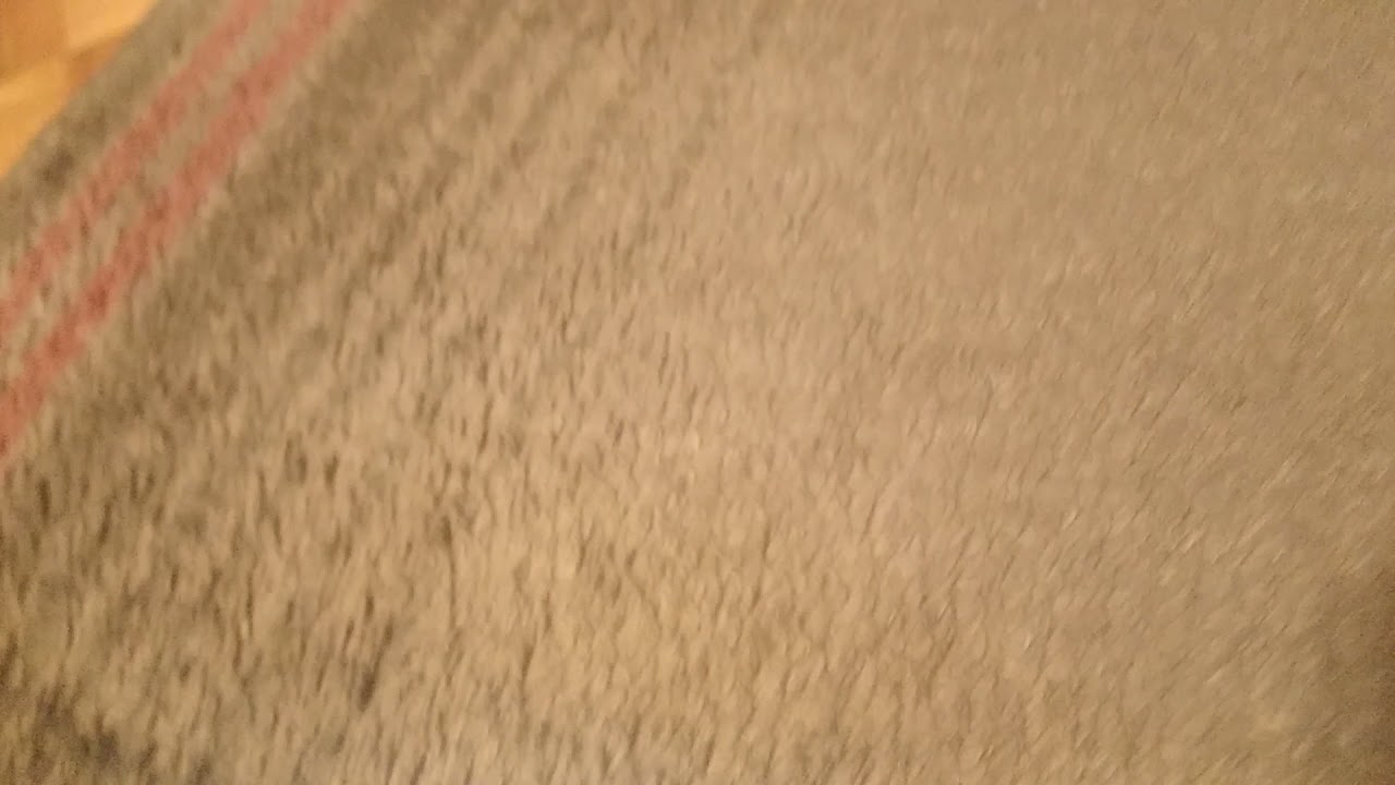 doing giveaways for lunar ox and queen sled