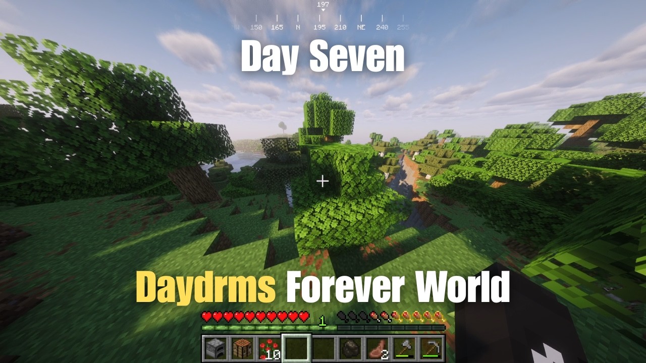 Forever World But With a Twist Day 7: I finally got a roof!