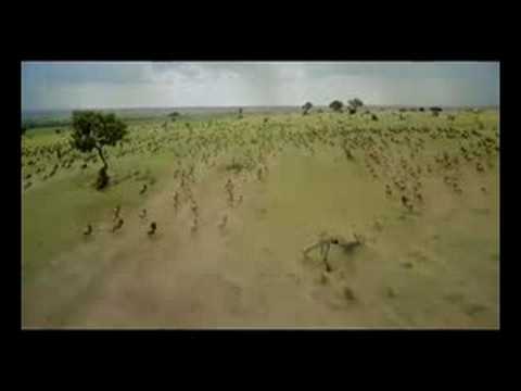 Africa: The Serengeti - YouTube