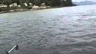 Fishing in Puget Sound