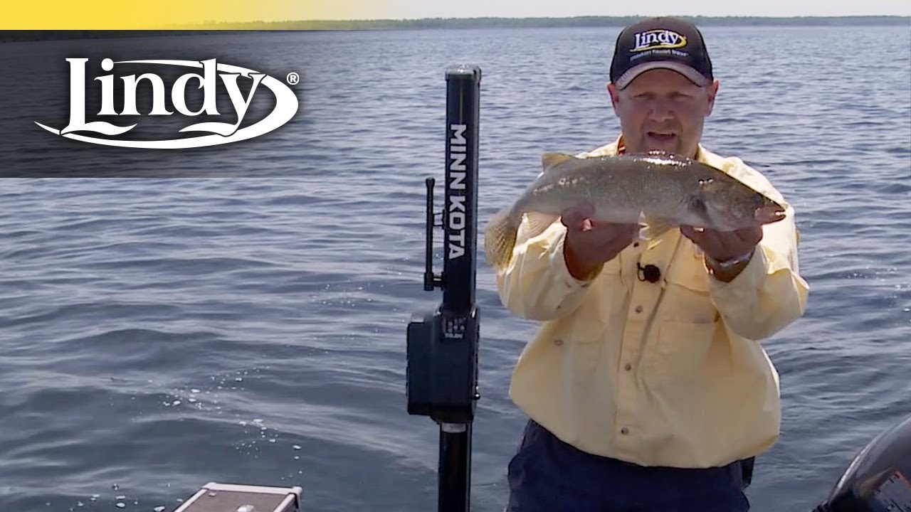 Spinner Fishing Made Simple YouTube