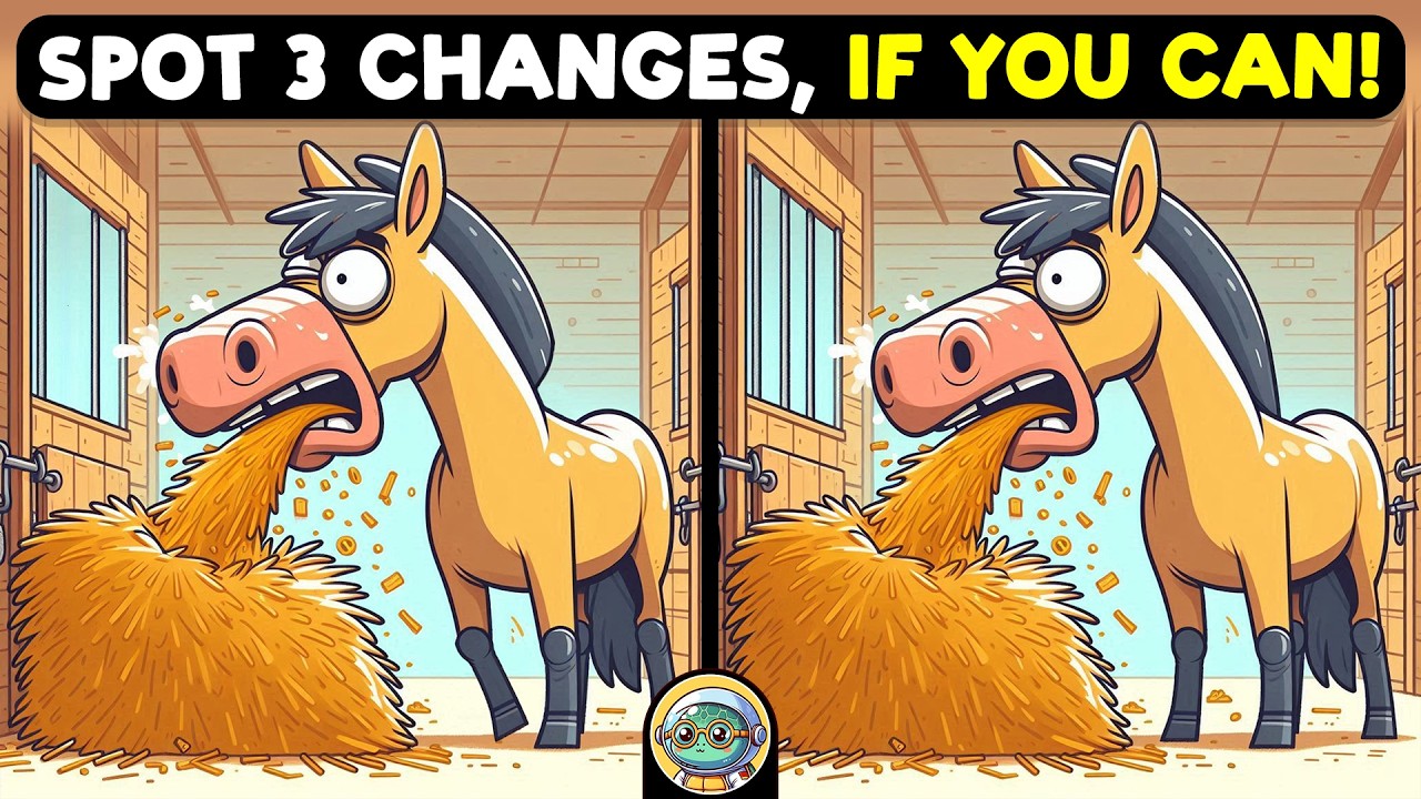 🧩 Spot 3 Differences | Can You Find Them All? 🐢 | Quizonaut Turtle