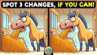 🧩 Spot 3 Differences | Can You Find Them All? 🐢 | Quizonaut Turtle screenshot 3