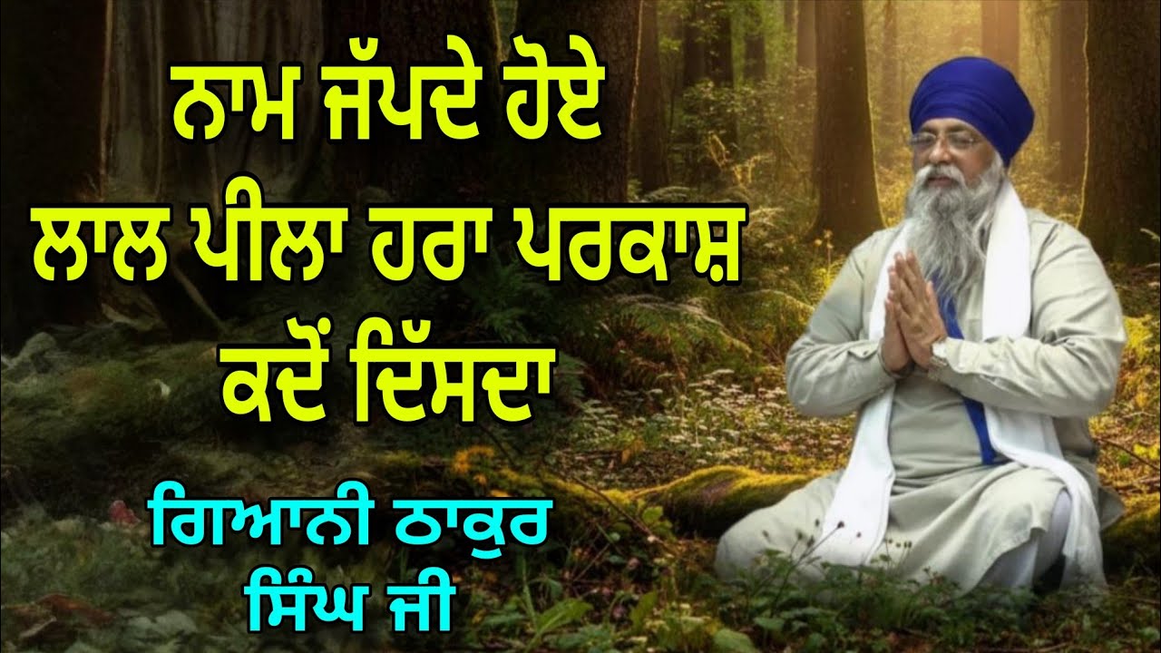 Naam Japde Hoye Laal Peela Hara Parkash Kado Disda | Giani Thakur Singh Ji 