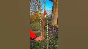 Prusik knot. Bringing back the old school with the Wrapster #prusik #knot #knots #arborist