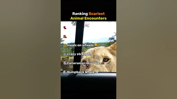 Ranking Scariest Animal Encounters thumbnail